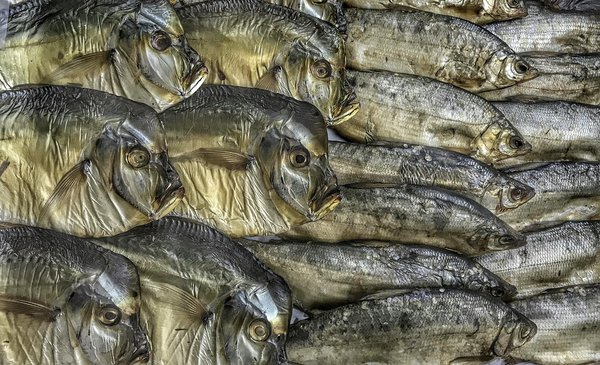 Ambulancier : Votre Guide Ultime pour Exceller dans cette Carrière Incontournable