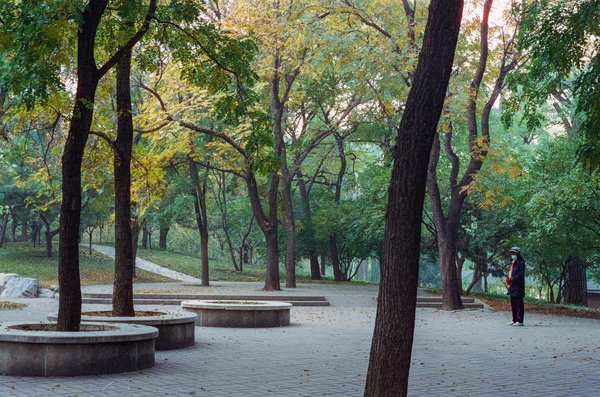 Approche Holistique pour Animaux : Soins Doux et Naturels pour Leur Bien-Être